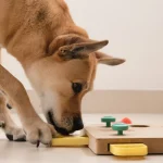 What Are the Benefits of Using Interactive Dog Toys?