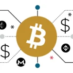 Assessing Bitcoin’s Lasting Potential in a Digitally Connected Financial Economy