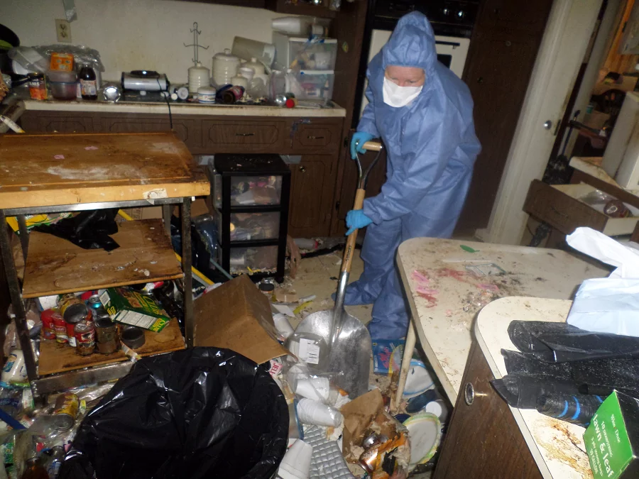 Junk removal service